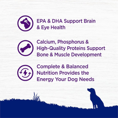 Wellness Complete Health Large Breed Dry Dog Puppy Food with Grains, Natural Ingredients, Made in USA with Real Meat (Puppy, Chicken, Salmon & Rice)