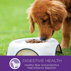 Wellness Complete Health Large Breed Dry Dog Puppy Food with Grains, Natural Ingredients, Made in USA with Real Meat (Puppy, Chicken, Salmon & Rice)