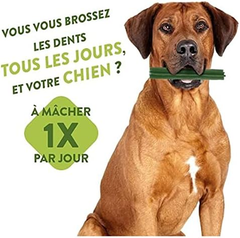 Paragon Whimzees Sticks Small/Petite Value Bag