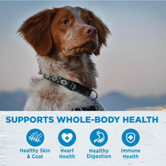 Wellness Natural Pet Food Wellness Simple Natural Grain Free Limited Ingredient Dry Dog Food, Salmon and Potato Recipe