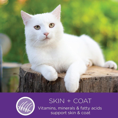 Wellness Complete Health Minced Adult Wet Cat Food, Natural, Protein-Rich, Grain Free(Tuna Entrée)