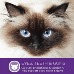 Wellness Complete Health Minced Adult Wet Cat Food, Natural, Protein-Rich, Grain Free(Tuna Entrée)