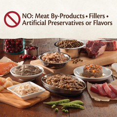 Wellness CORE Signature Selects Chunky Adult Wet Cat Food, Natural, Protein-Rich, Grain Free (Beef & Chicken)