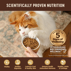 Wellness CORE High Protein Grain-Free Adult Dry Cat Food, Original Formula Turkey, Turkey Meal & Chicken Recipe