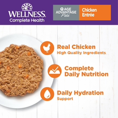 Wellness Complete Health Pate Senior Wet Cat Food, Natural, Protein-Rich, Grain Free (Chicken Age Advantage)