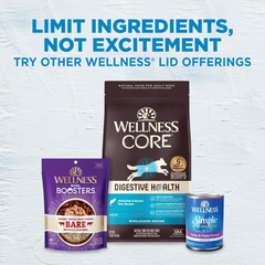 Wellness Simple Natural Limited-Ingredient Grain-Free Dry Dog Food, Easy to Digest for Sensitive Stomachs, Supports Skin & Coat (Lamb and Oatmeal)