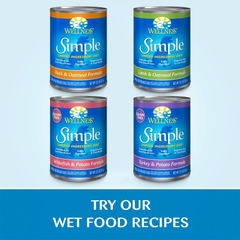 Wellness Simple Natural Limited-Ingredient Grain-Free Dry Dog Food, Easy to Digest for Sensitive Stomachs, Supports Skin & Coat (Lamb and Oatmeal)