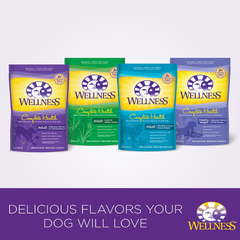 Wellness Complete Health Healthy Weight Chicken & Peas Natural Dry Dog Food
