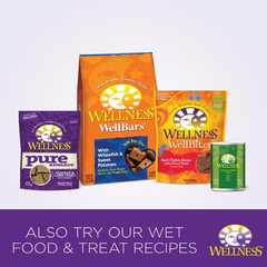 Wellness Complete Health Healthy Weight Chicken & Peas Natural Dry Dog Food