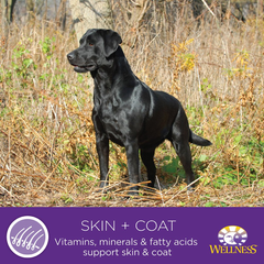 Wellness Complete Health Healthy Weight Chicken & Peas Natural Dry Dog Food