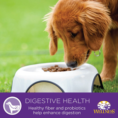 Wellness Complete Health Healthy Weight Chicken & Peas Natural Dry Dog Food