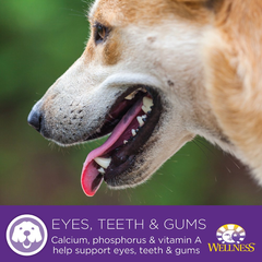 Wellness Complete Health Healthy Weight Chicken & Peas Natural Dry Dog Food