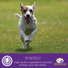 Wellness Complete Health Healthy Weight Chicken & Peas Natural Dry Dog Food