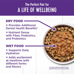 Wellness Complete Health Gravy Adult Wet Cat Food, Natural, Protein-Rich, Grain Free (Turkey Dinner)