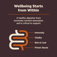 Wellness CORE Digestive Health Dry Dog Food with Wholesome Grains, Highly Digestible, for Dogs with Sensitive Stomachs, Made in USA with Real Chicken