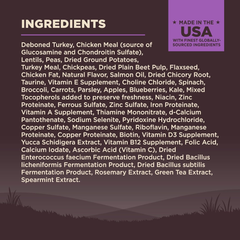 Wellness CORE Grain-Free Senior Dry Dog Food, Made in USA with Real Turkey and Natural Ingredients, With Nutrients for Immune, Joint, Skin & Coat Support