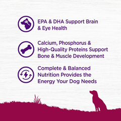 Wellness Complete Health Small Breed Dry Dog Food with Grains, Natural Ingredients, Made in USA with Real Turkey, For Dogs Up to 25 lbs. (Puppy, Turkey, Salmon & Oatmeal)