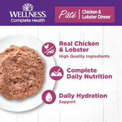 Wellness Complete Health Pate Adult Wet Cat Food, Natural, Protein-Rich, Grain Free (Chicken & Lobster)