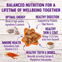 Wellness Complete Health Gravies Grain Free Chicken Dinner Wet Cat Food, Made with Real Chicken, Natural, Wholesome Nutrition