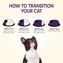 Wellness Complete Health Dry Dog Food, Small Breed, Grain Free, Natural, Turkey, Chicken, & Salmon Recipe