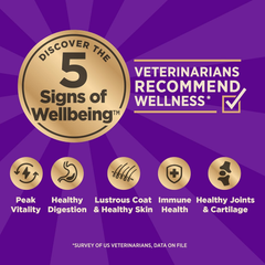 Wellness CORE+ (Formerly RawRev) Dry Dog Food with Freeze Dried Pieces, Wholesome Grains, High Protein, Natural, Beef & Barley Recipe