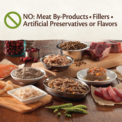 Wellness CORE Signature Selects Chunky Adult Wet Cat Food, Natural, Protein-Rich, Grain Free (Chicken & Salmon)