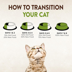 Wellness CORE Signature Selects Chunky Adult Wet Cat Food, Natural, Protein-Rich, Grain Free (Chicken & Salmon)