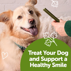 Whimzees Wellness Freshzees Dog Dental Treats, Natural Chews, Medium Size Stick