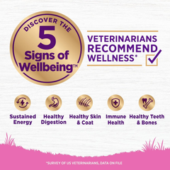 Wellness Complete Health Dry Dog Food for Small Dogs, Toy Breed, Wholesome Grains, Natural, Chicken, Brown Rice, & Peas Recipe