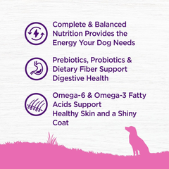 Wellness Complete Health Dry Dog Food for Small Dogs, Toy Breed, Wholesome Grains, Natural, Chicken, Brown Rice, & Peas Recipe