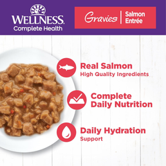 Wellness Complete Health Gravy Adult Wet Cat Food, Natural, Protein-Rich, Grain Free (Salmon Entree)
