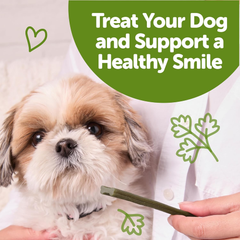 Whimzees Wellness Freshzees Dog Dental Treats, Natural Chews, Extra Small Size Stick