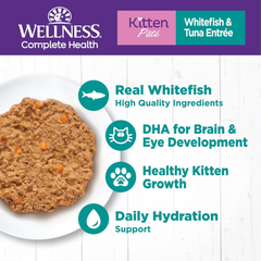 Wellness Complete Health Pate Kitten Wet Cat Food, Natural, Protein-Rich, Grain Free (Whitefish & Chicken)