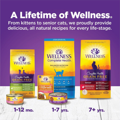 Wellness Complete Health Pate Kitten Wet Cat Food, Natural, Protein-Rich, Grain Free (Whitefish & Chicken)