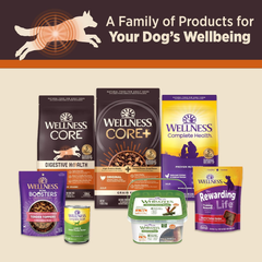 Wellness CORE Digestive Health Chicken Grain Free Wet Dog Food