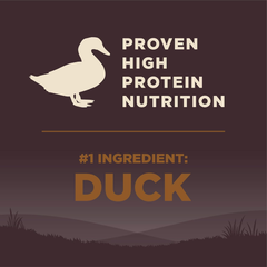 Wellness CORE Grain-Free High-Protein Dry Dog Food, Natural Ingredients, Made in USA with Real Meat, All Breeds, For Adult Dogs (Wild Game Duck, Lamb Meal, Boar & Rabbit)