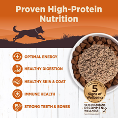 Wellness CORE 95% Natural Wet Grain Free Canned Dog Food, Turkey & Spinach