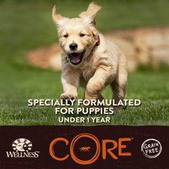 Wellness CORE Natural Dry Grain Free Puppy Food, Chicken & Turkey
