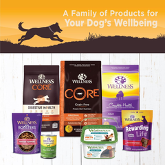 Wellness CORE 95% Natural Wet Grain Free Canned Dog Food, Chicken & Broccoli