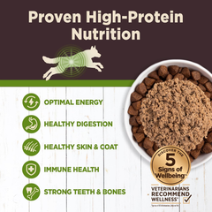 Wellness CORE Digestive Health Lamb Grain Free Wet Dog Food