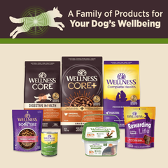 Wellness CORE Digestive Health Lamb Grain Free Wet Dog Food