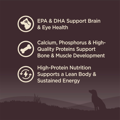 Wellness Natural Pet Food Wellness CORE Grain-Free High-Protein Large Breed Dry Dog Food, Natural Ingredients, Made in USA with Real Chicken (Puppy)