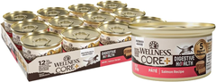 Wellness CORE+ Digestive Health Pate Adult Wet Cat Food, Natural, Protein-Rich, Grain Free (Salmon)
