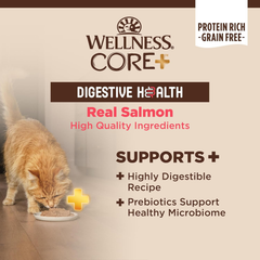 Wellness CORE+ Digestive Health Pate Adult Wet Cat Food, Natural, Protein-Rich, Grain Free (Salmon)
