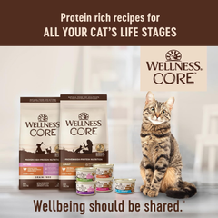 Wellness CORE Natural Grain-Free High Protein Adult Dry Cat Food Recipe, Turkey, Turkey Meal and Duck Formula