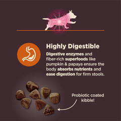 Wellness CORE Digestive Health Dry Dog Food, Small Breed, Wholesome Grains, Natural, Ingredients for Dogs with Sensitive Stomachs, Chicken Recipe