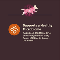 Wellness CORE Digestive Health Dry Dog Food, Small Breed, Wholesome Grains, Natural, Ingredients for Dogs with Sensitive Stomachs, Chicken Recipe