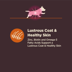 Wellness CORE Digestive Health Dry Dog Food, Small Breed, Wholesome Grains, Natural, Ingredients for Dogs with Sensitive Stomachs, Chicken Recipe