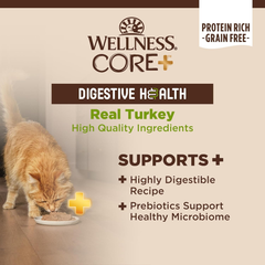Wellness CORE+ Digestive Health Pate Adult Wet Cat Food, Natural, Protein-Rich, Grain Free (Turkey)