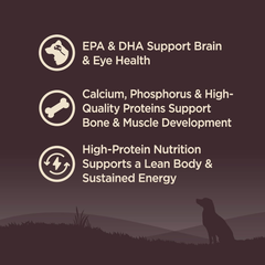 Wellness CORE Grain-Free High-Protein Small Breed Dry Dog Food, Natural Ingredients, Made in USA with Real Meat (Puppy, Turkey)